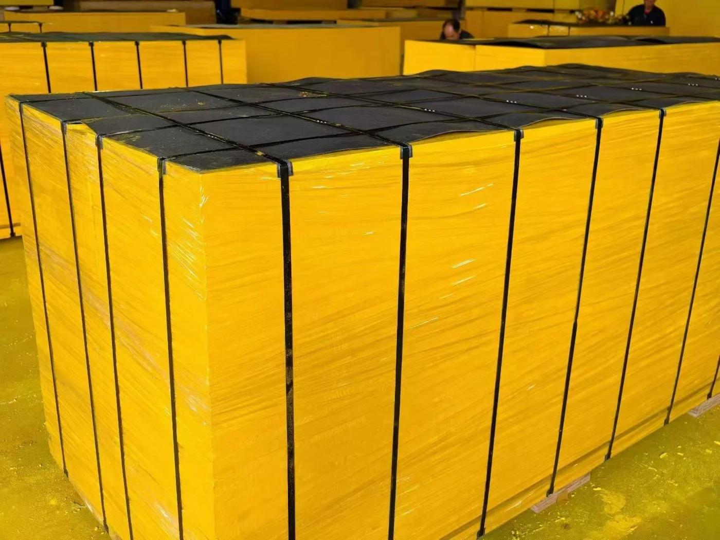 Three-Ply Panels